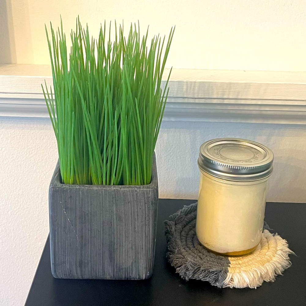 Fake Grass Plant